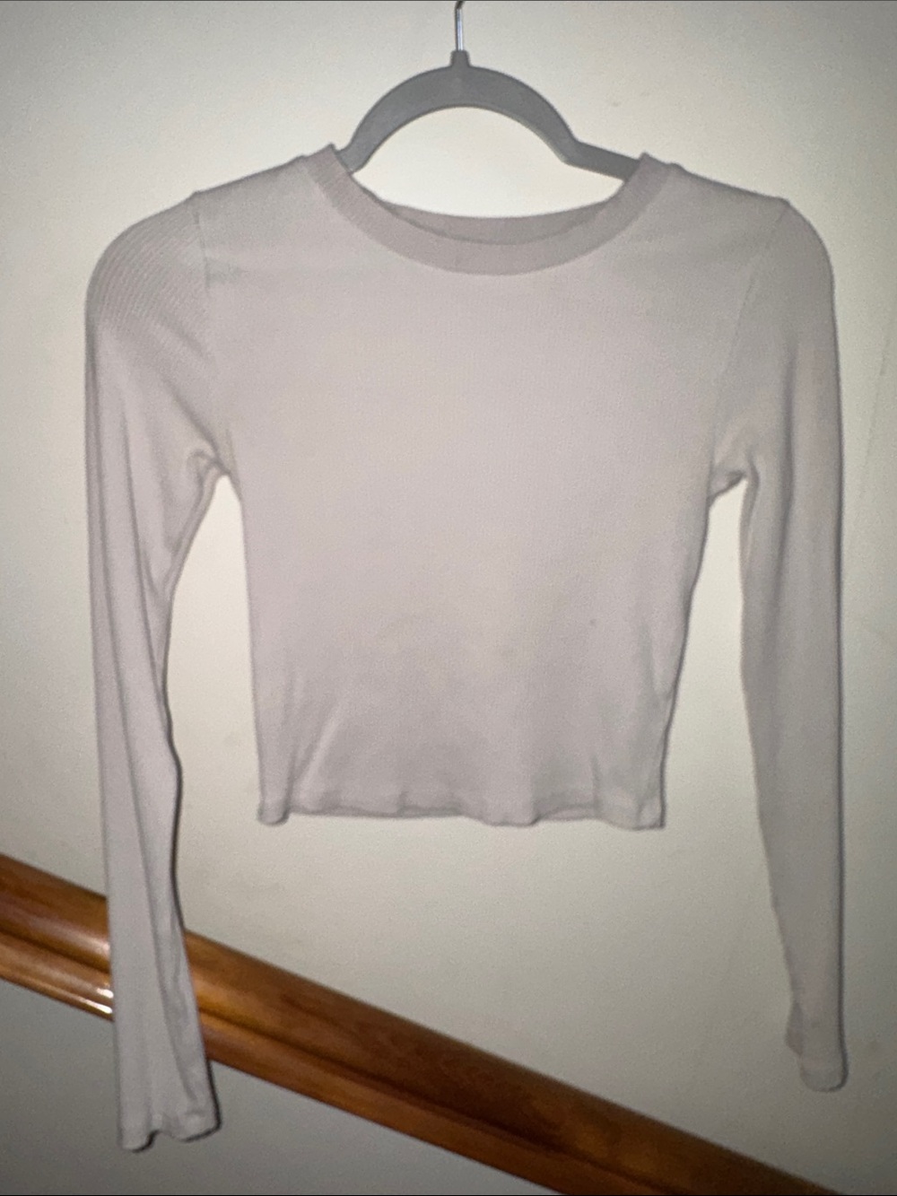 Forever 21 Long Sleeve Crewneck Crop Top in Light Taupe